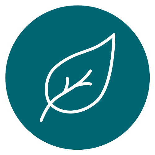 Naturally derived fragrance oils icon